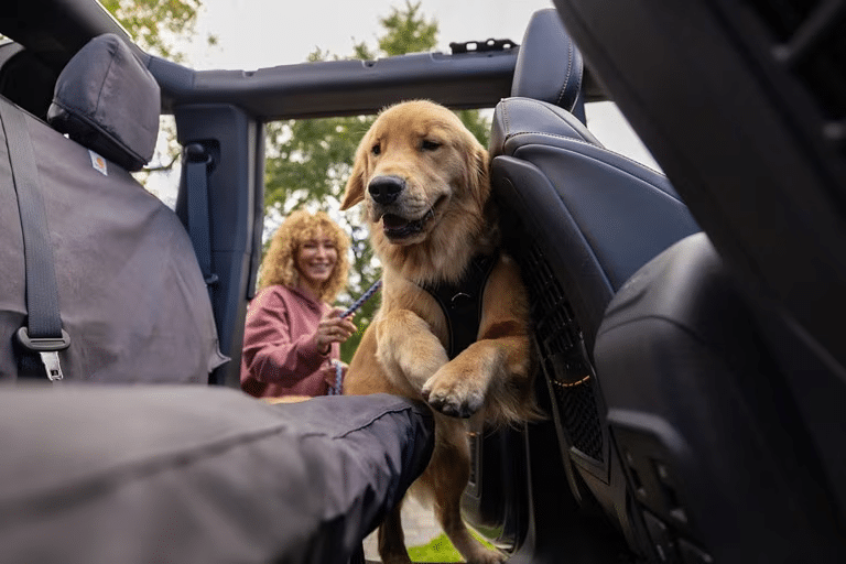A woman guides a dog into the backseat of a Ford vehicle.