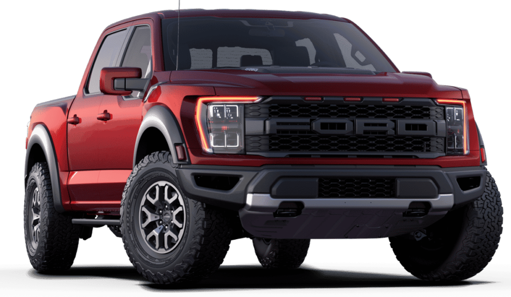 Raptor Image
