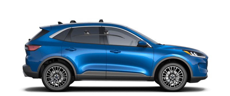 Model Image