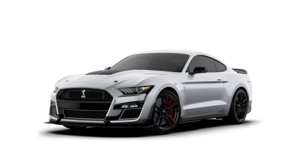Iconic Silver 