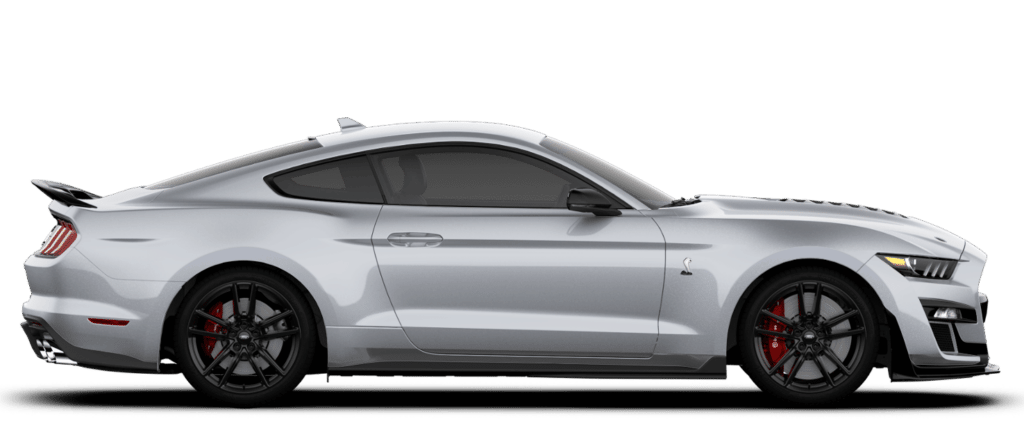 Iconic Silver 