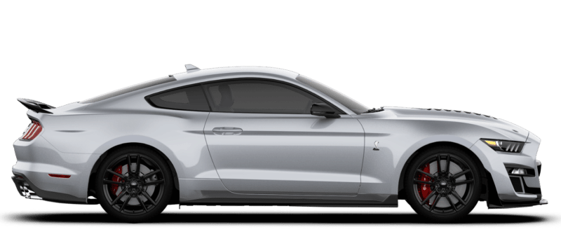 Iconic Silver