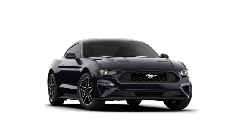 Shadow Black