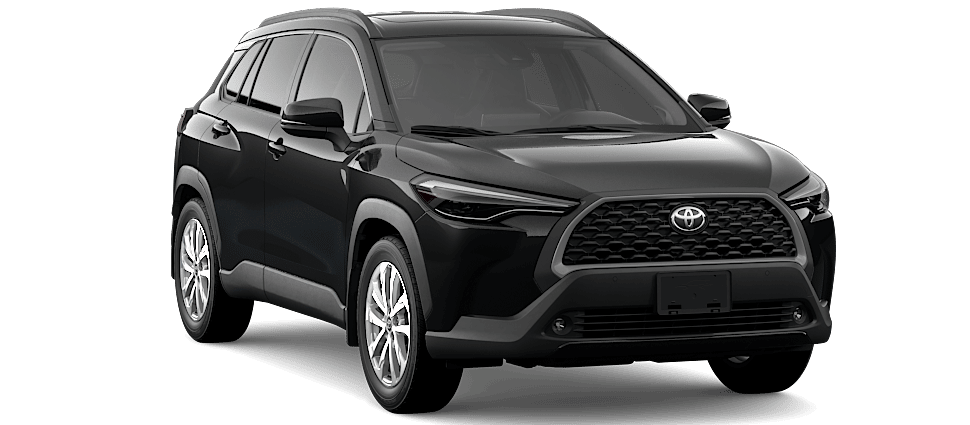 Jet Black Mica