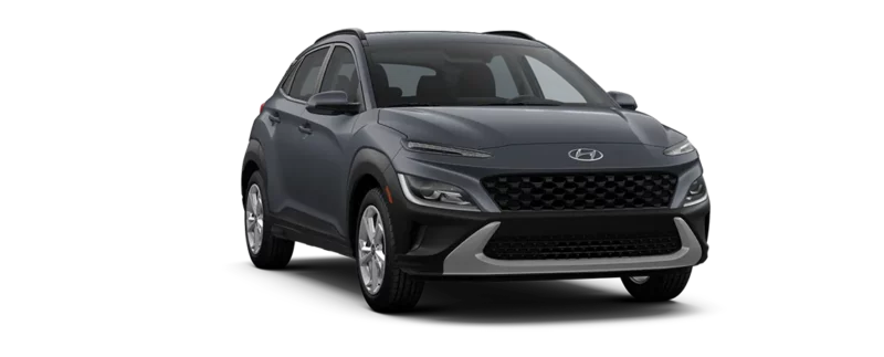 Ecotronic Grey