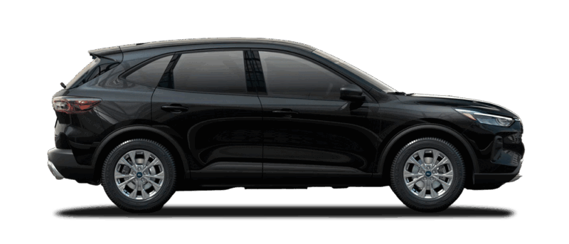 Model Image