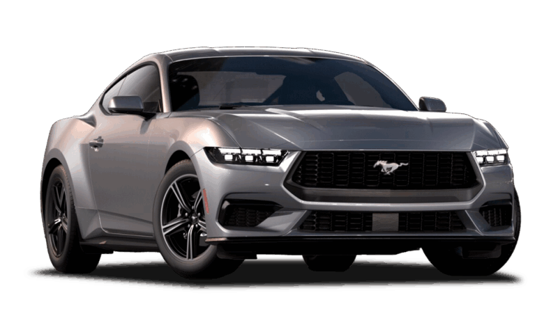 Iconic Silver Metallic