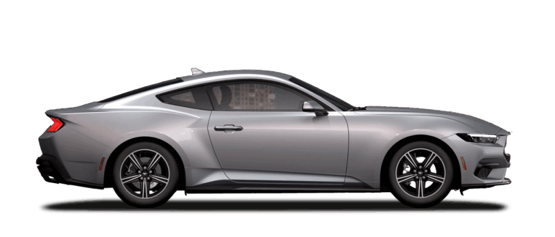 Iconic Silver Metallic