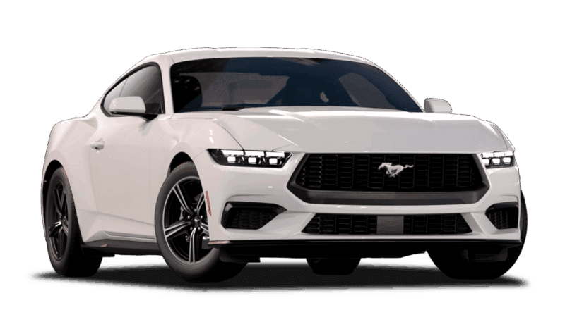 Oxford White