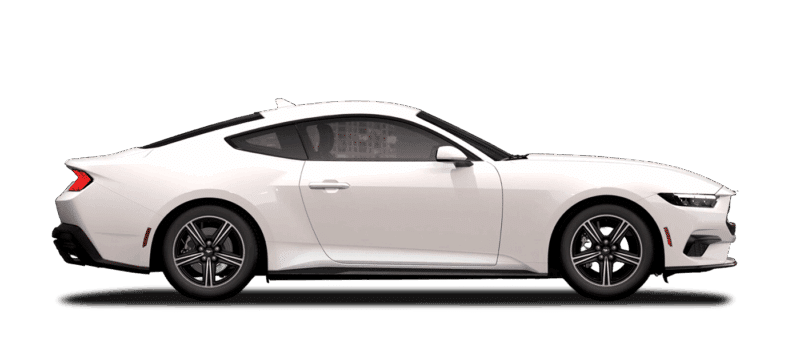 Oxford White