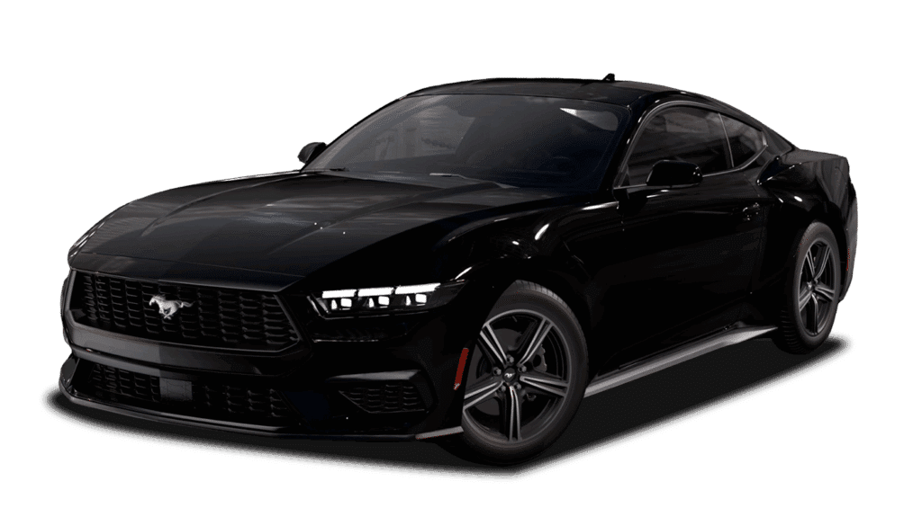 Shadow Black