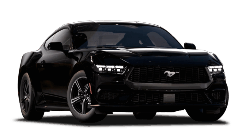 Shadow Black