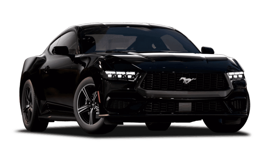 Shadow Black