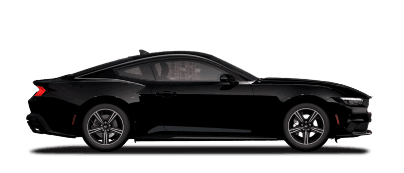 Shadow Black