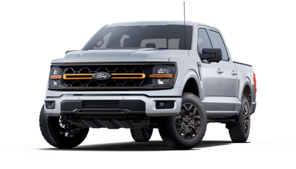 Iconic Silver Metallic