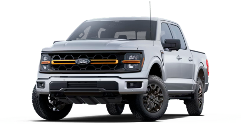 Iconic Silver Metallic