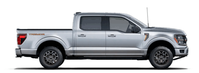 Iconic Silver Metallic