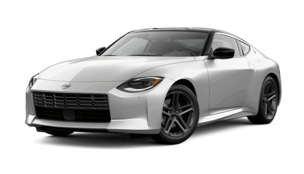 Super Black/Brilliant Silver