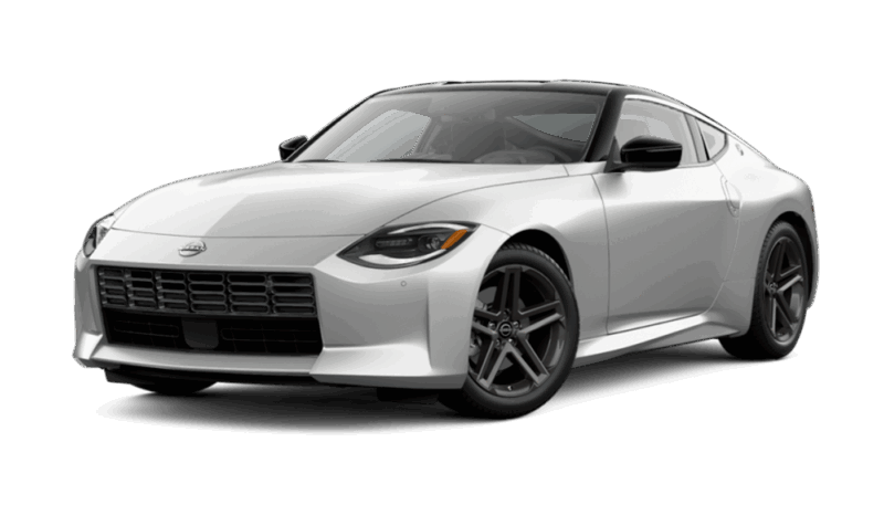 Super Black/Brilliant Silver