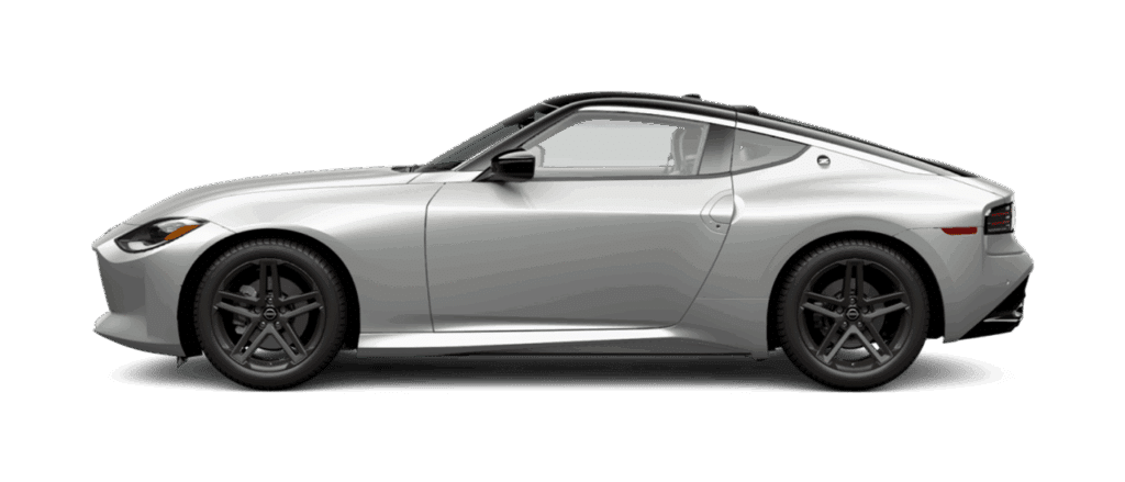Super Black/Brilliant Silver