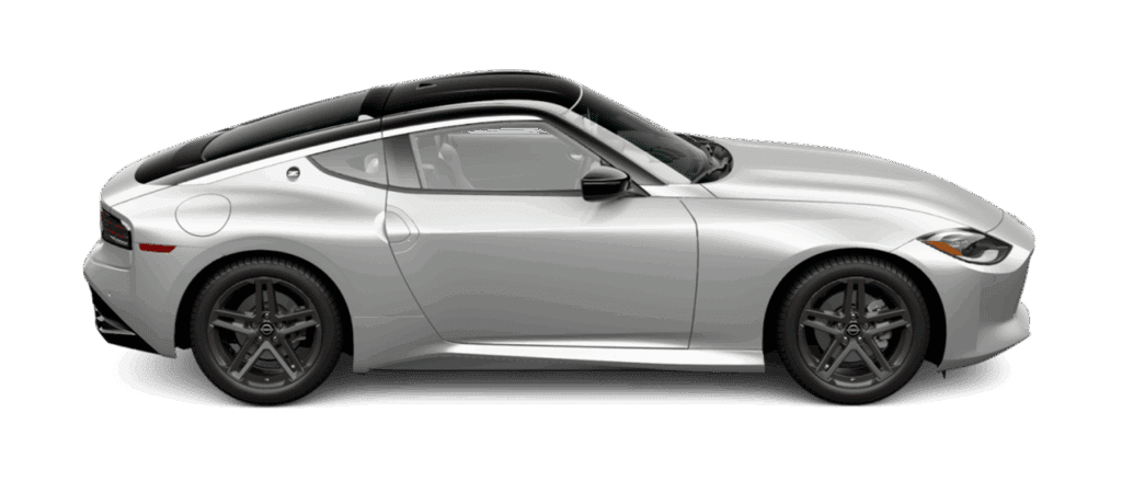 Super Black/Brilliant Silver