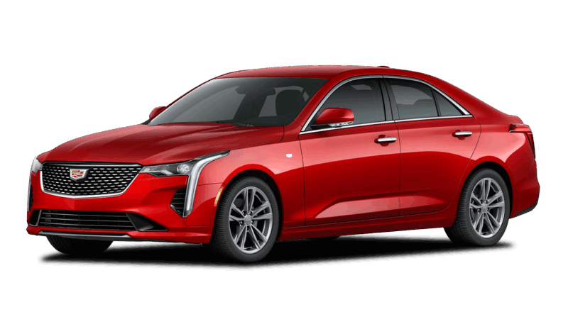 Radiant Red Tintcoat