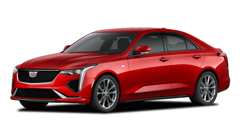 Radiant Red Tintcoat