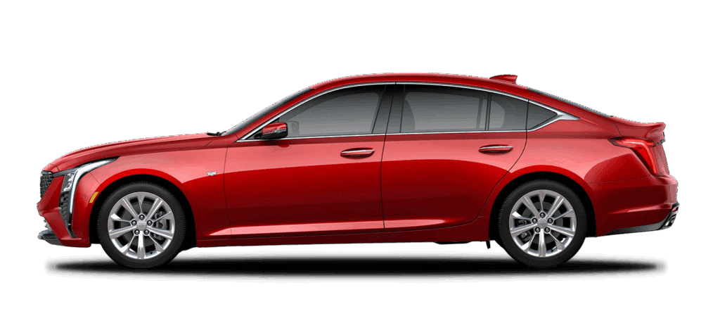Radiant Red Tintcoat
