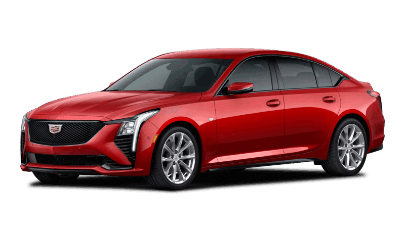 Radiant Red Tintcoat