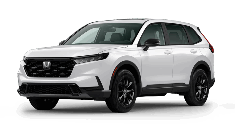 Platinum White Pearl