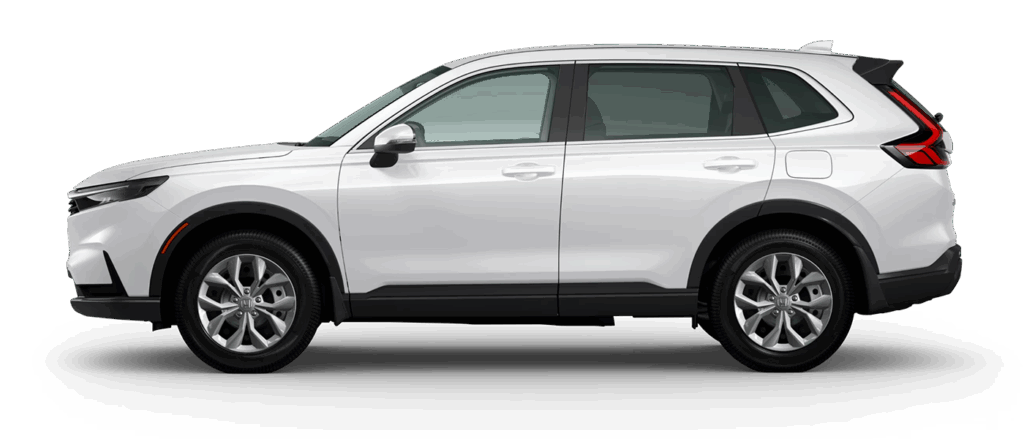Platinum White Pearl