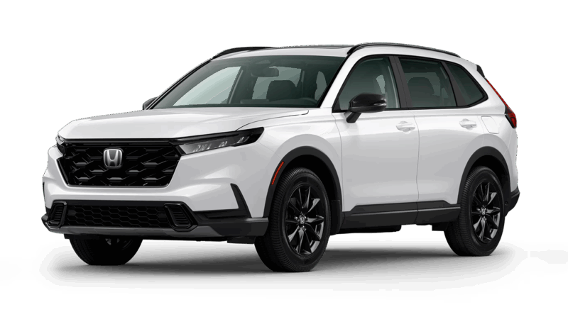 Platinum White Pearl