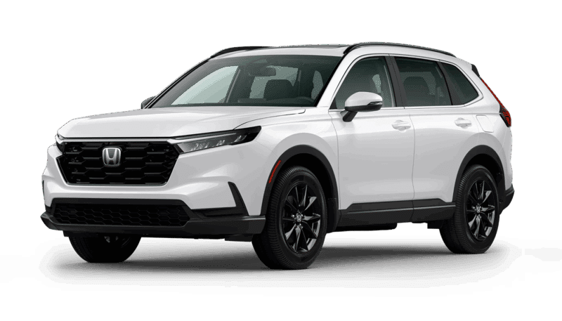 Platinum White Pearl