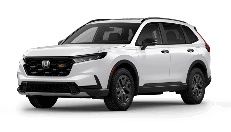 Platinum White Pearl