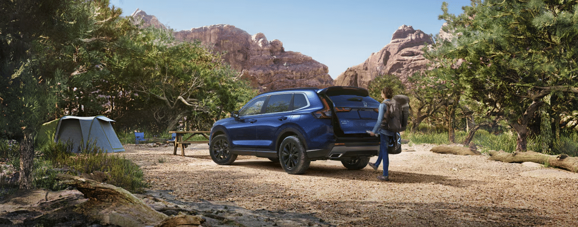 Athletic Design Meets Utility