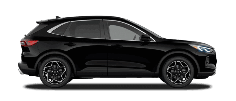 Platinum Hybrid Image