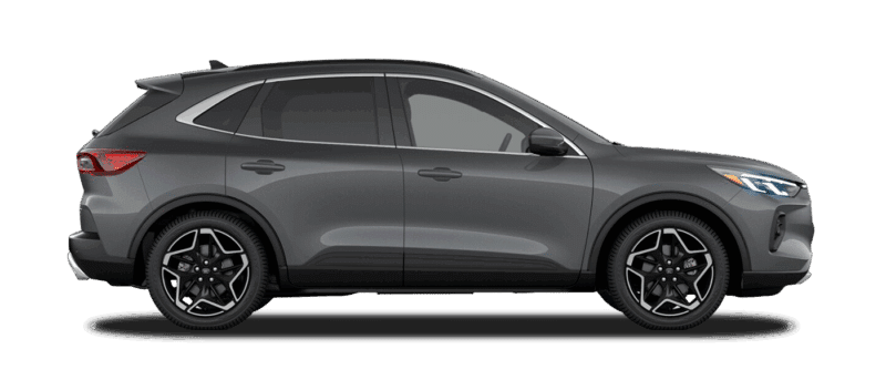 Platinum Hybrid Image