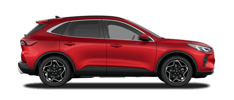 Platinum Hybrid Image