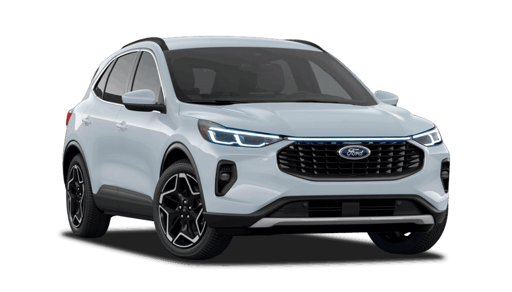 Platinum Hybrid Image