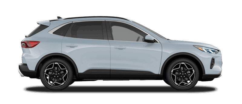 Platinum Hybrid Image