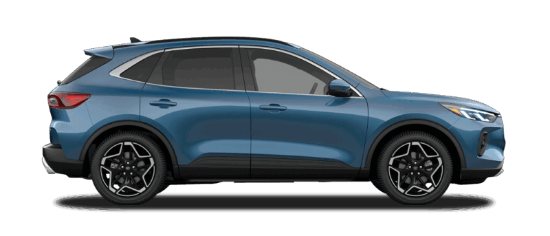 Platinum Hybrid Image