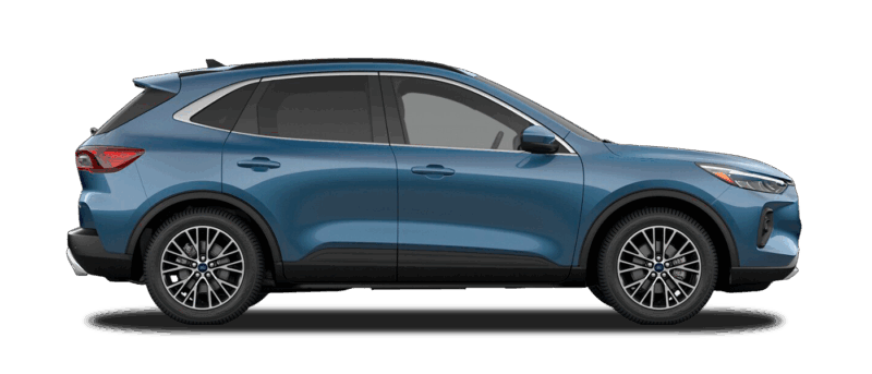 Plug-In Hybrid Image