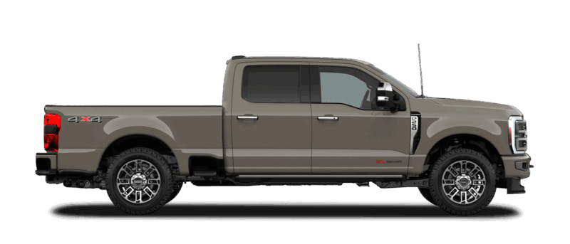 Marsh Grey
