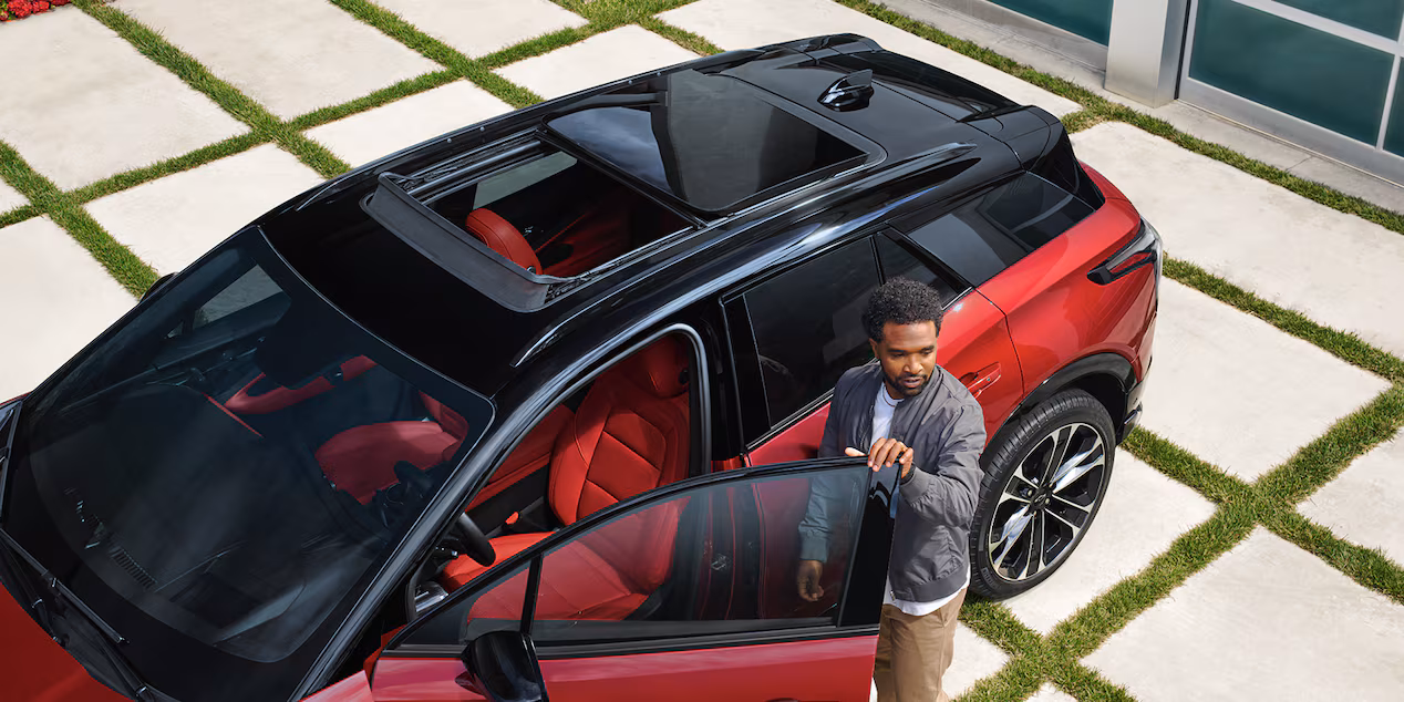 Distinctive from the top down