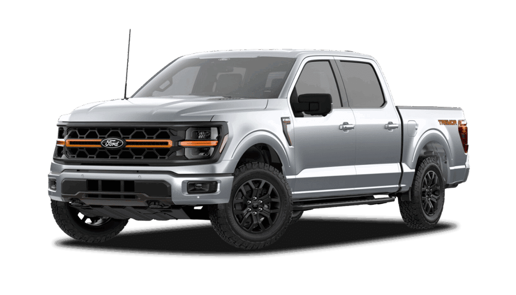 Iconic Silver Metallic