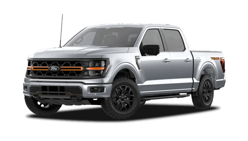 Iconic Silver Metallic