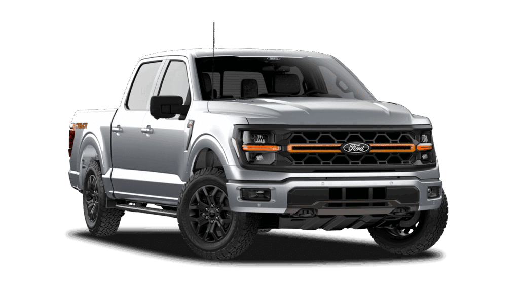 Iconic Silver Metallic