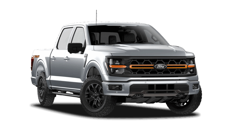 Iconic Silver Metallic