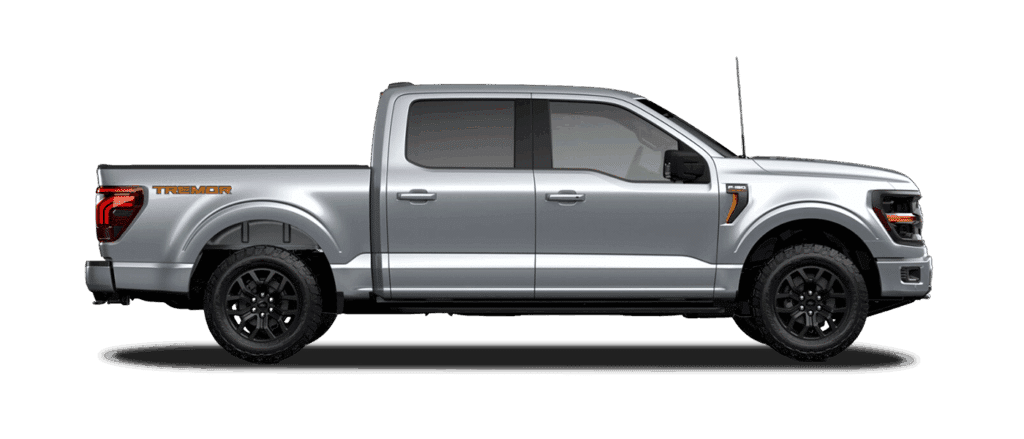 Iconic Silver Metallic