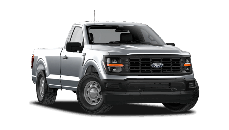 Iconic Silver Metallic